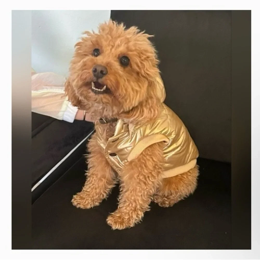 DKNY Metallic Gold Dog Coat